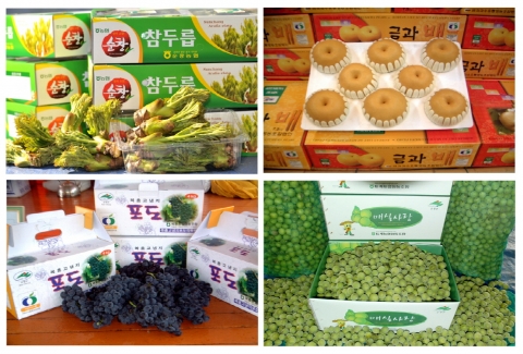 순창군, 농·특산물 유통포장재 지원사업 추진