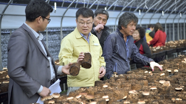 장수군, 버섯재배 품목·재배방법 다양화로 안정적 소득기반 확대
