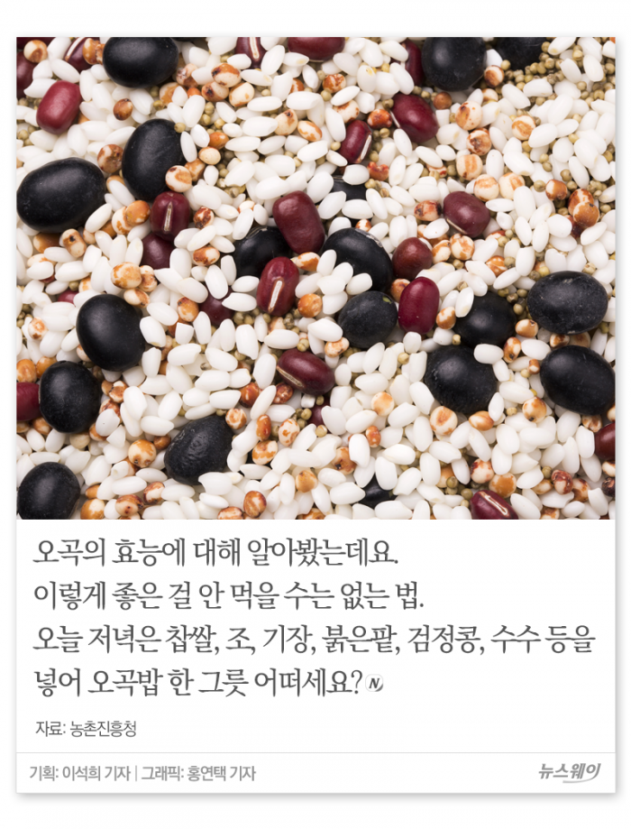 당신이 오곡밥을 먹어야 하는 진짜 이유 기사의 사진