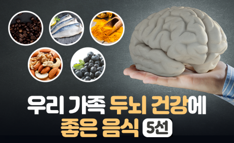 우리 가족 두뇌 건강에 좋은 음식 5선