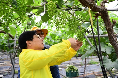 장성군, 농어민에게 장성사랑상품권 지급