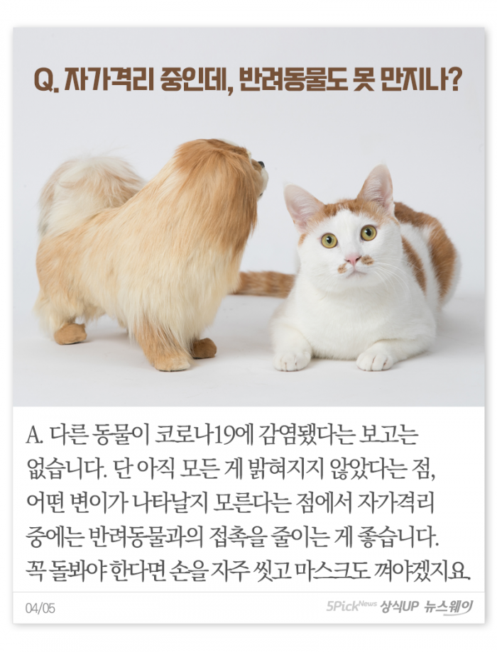 가글 잘하면 코로나 덜 걸릴까 기사의 사진