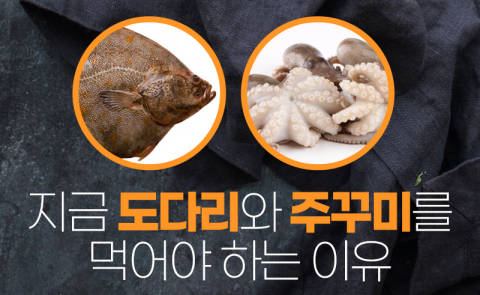 지금 도다리와 주꾸미를 먹어야 하는 이유
