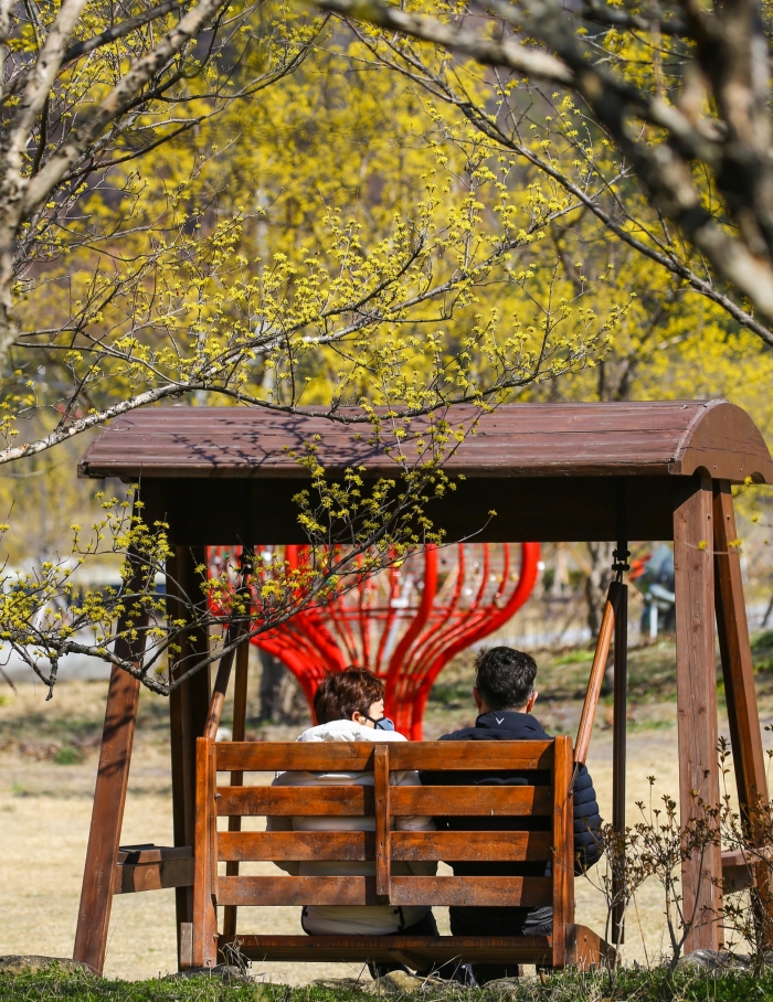 구례군, 산수유꽃 개화에 맞춰 코로나19 방역활동 강화 기사의 사진