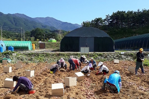 무주군, 고령 은퇴 귀농·귀촌인 영농·생활지원