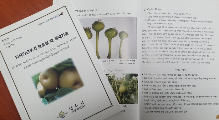 나주시, 전국최초 외국인 맞춤형 ‘배 재배기술 교재’ 보급 기사의 사진