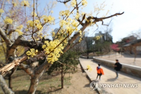 ‘경칩’ 전국 맑고 포근···큰 일교차 ‘건강 유의’