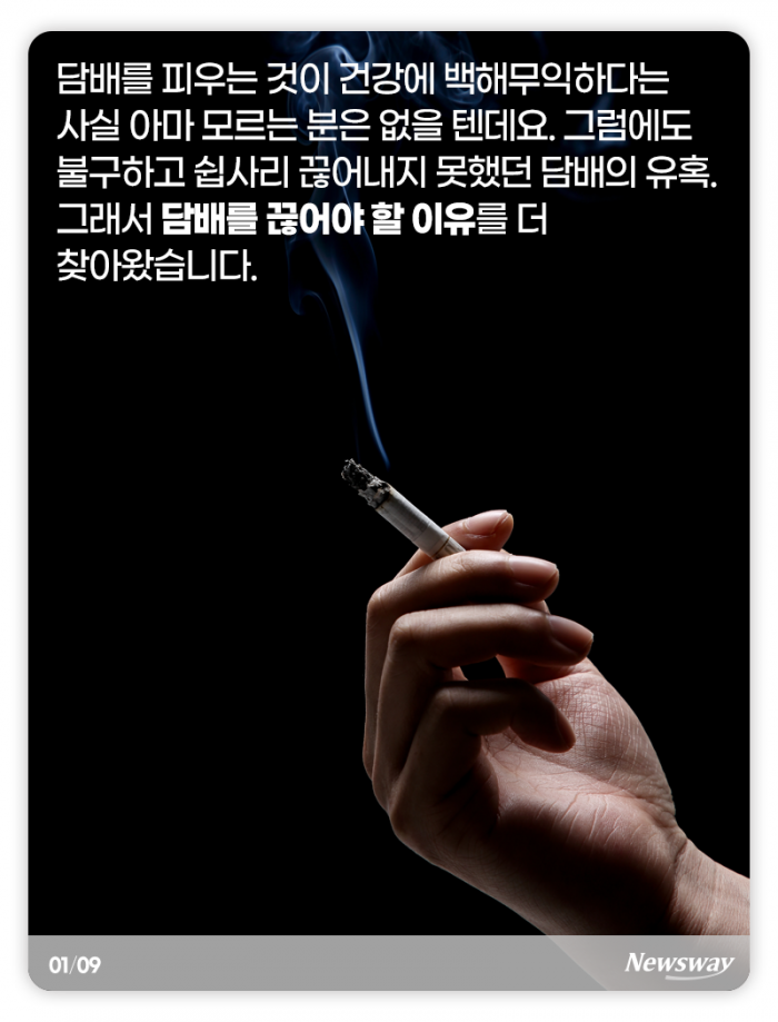 담배를 끊어야 하는 이유가 늘었다 기사의 사진