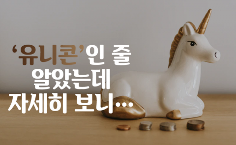 ‘유니콘’인 줄 알았는데 자세히 보니···