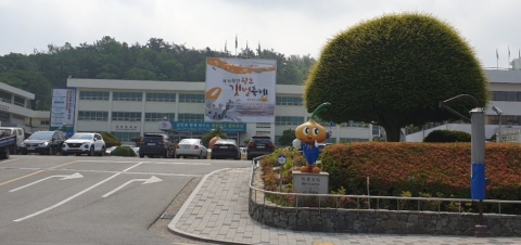 무안국제공항 정상화 유도 무안군, 항공사 긴급 재정지원