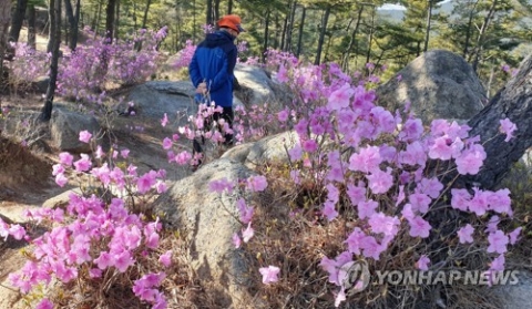 전국 맑지만 강한 바람···출근길 '쌀쌀'