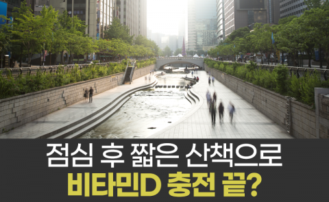 점심 후 짧은 산책으로 비타민D 충전 끝?