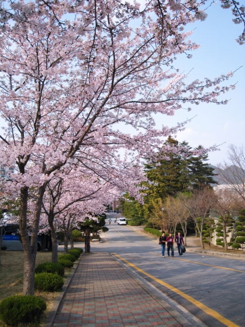 순천대, 대학구성원 대상 ‘캠퍼스 사진 공모전’ 실시