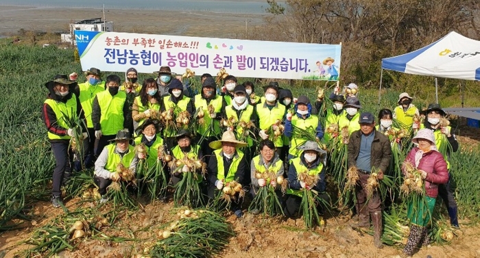 전남농협, 코로나19 위기극복을 위한 농촌일손돕기 모습