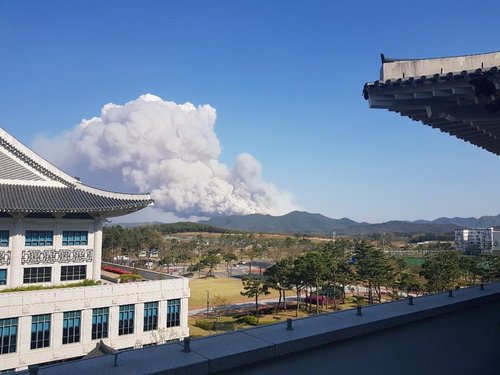 안동 풍천 산불 확산···주민 150여명 긴급 대피