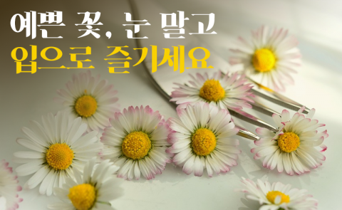 예쁜 꽃, 눈 말고 입으로 즐기세요