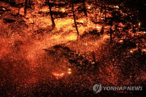 고성산불 12시간 만에 주불 진화 완료···“오전 중 잔불 정리”
