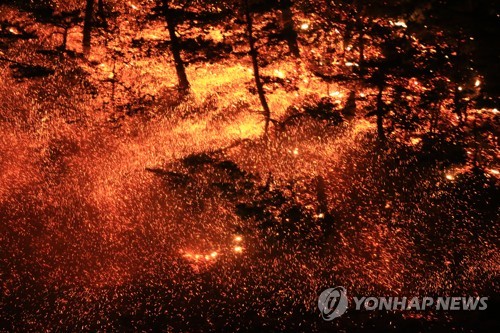 강풍 타고 번지는 산불. 사진=연합뉴스 제공