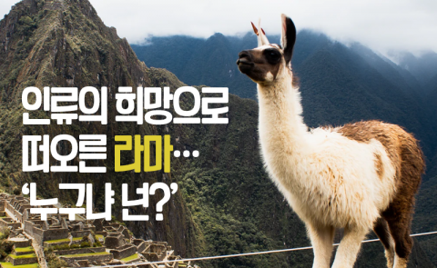 인류의 희망으로 떠오른 라마···‘누구냐 넌?’