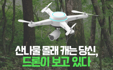 산나물 몰래 캐는 당신, 드론이 보고 있다