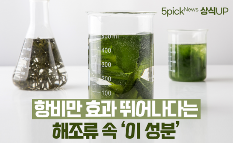 항비만 효과 뛰어나다는 해조류 속 ‘이 성분’