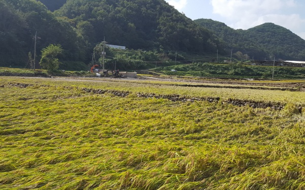 사진제공=경주시