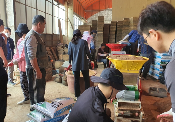 광주 서창농협, 농번기 영농지원 봉사활동 모습