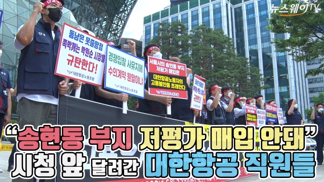 “송현동 부지 저평가 매입 안돼”···시청 앞 달려간 대한항공 직원들