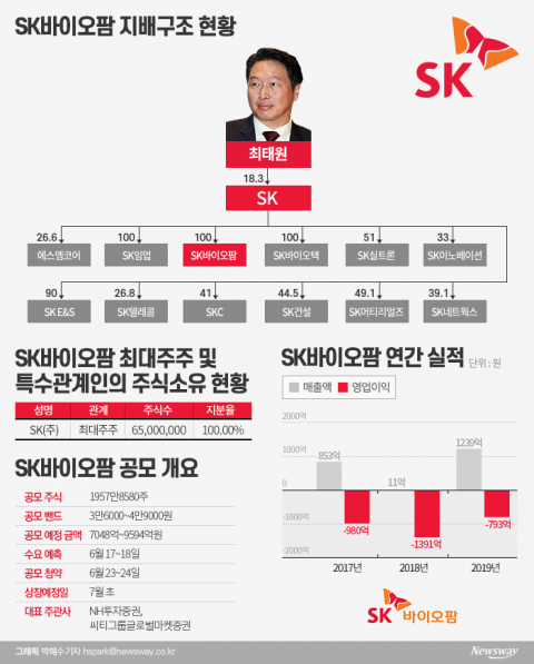 넷마블 상장 후 최대···최태원의 야심작