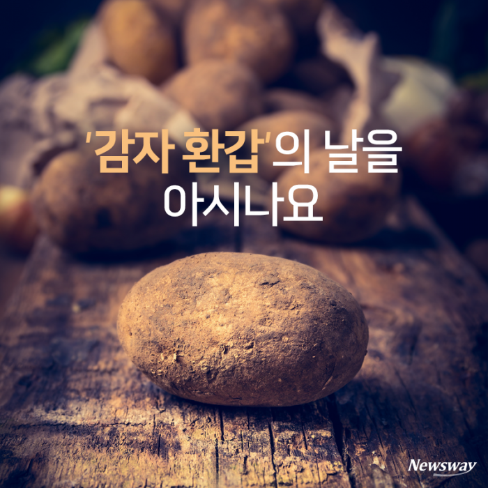 ‘감자 환갑’의 날을 아시나요 기사의 사진