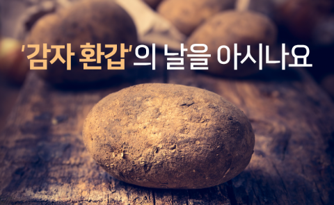 ‘감자 환갑’의 날을 아시나요
