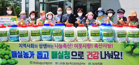 전남농협, 우박피해 매실농가 매실청 담궈 나눔실천