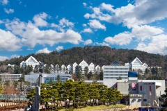 조선대학교, 코로나19로 어려움 겪는 학생 400명에 장학금 지급