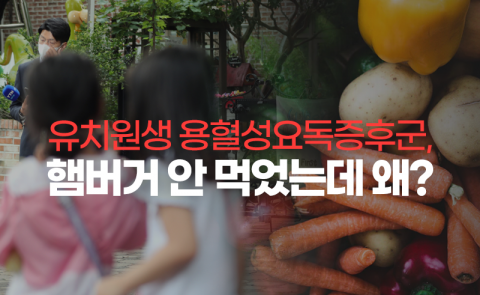 유치원생 용혈성요독증후군···햄버거 안 먹었는데 왜?