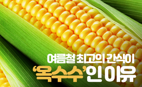여름철 최고의 간식이 ‘옥수수’인 이유