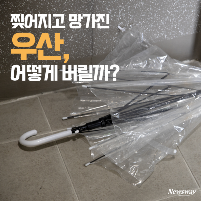 찢어지고 망가진 우산, 어떻게 버릴까? 기사의 사진