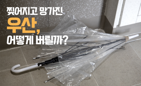 찢어지고 망가진 우산, 어떻게 버릴까?