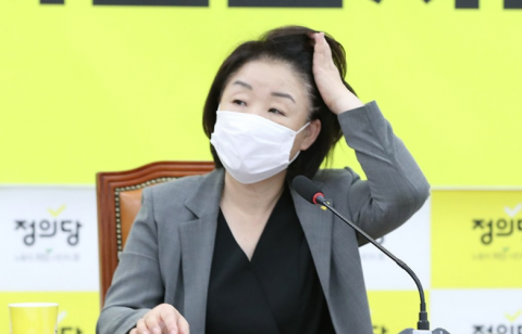 심상정, 고위공직자 다주택 처분 의무화 법안 준비
