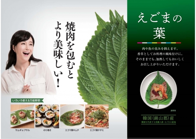 aT,한국산 깻잎 일본 기능성표시식품으로 등록