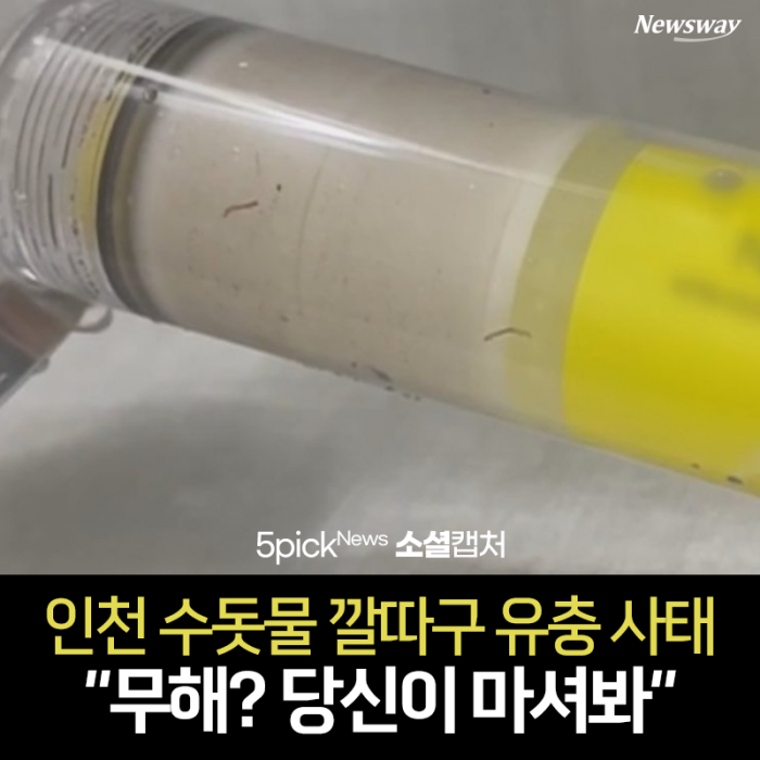 인천 수돗물 깔따구 유충 사태···“무해? 당신이 마셔봐” 기사의 사진