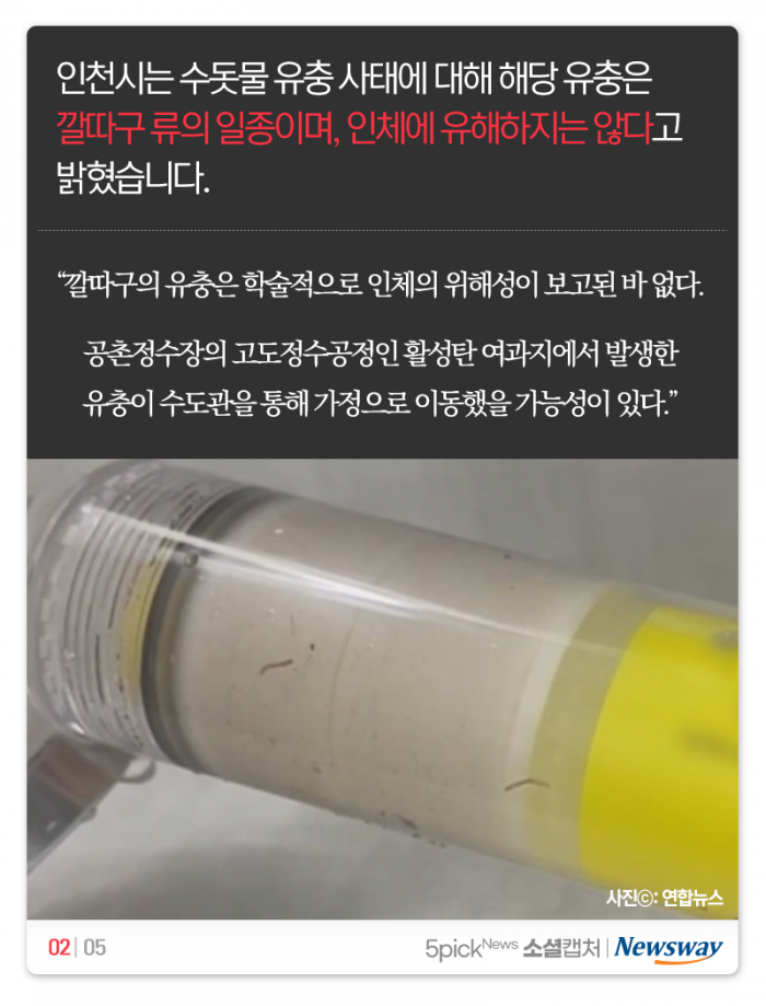인천 수돗물 깔따구 유충 사태···“무해? 당신이 마셔봐” 기사의 사진