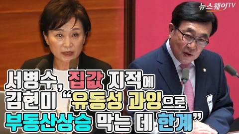 서병수, 집값 지적에···김현미 “유동성 과잉으로 부동산 상승 막는 데 한계”