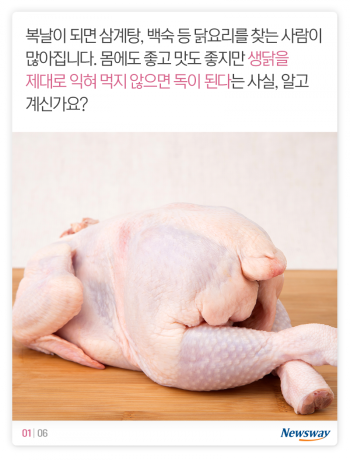 닭고기를 잘 익혀 먹어야 하는 이유 기사의 사진
