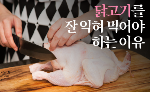 닭고기를 잘 익혀 먹어야 하는 이유