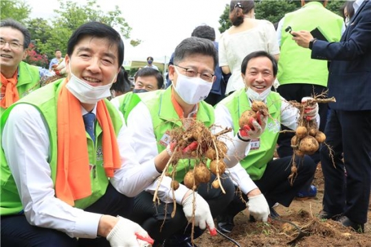 (왼쪽부터) 이해식 의원, 농림축산식품부 김현수 장관, 우상호 의원이 감자캐기 행사에 참가하고 있다. 사진=농정원
