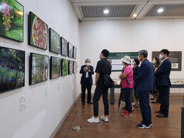 순천대 박물관 재개장···‘약초를 만나다 ’특별전 및 강연 개최