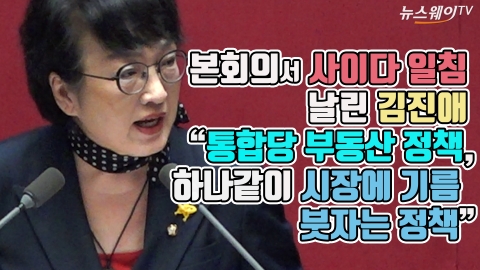 본회의서 사이다 일침 날린 김진애 “통합당 부동산 정책, 하나같이 시장에 기름 붓자는 정책”