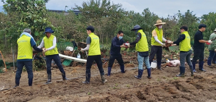 전남농협, 집중호우 피해농가 복구지원 모습