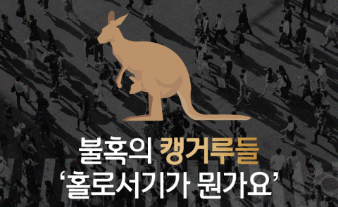 불혹의 캥거루들 ‘홀로서기 어렵네’