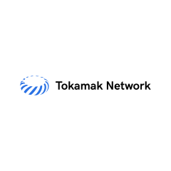토카막 네트워크, 스테이킹 서비스 정식 출시···“네트워크 안정성↑” 기사의 사진